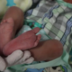 Recém-nascido é abandonar por mulher em banheiro da Santa Casa de BH - Foto: Divulgação/Santa Casa