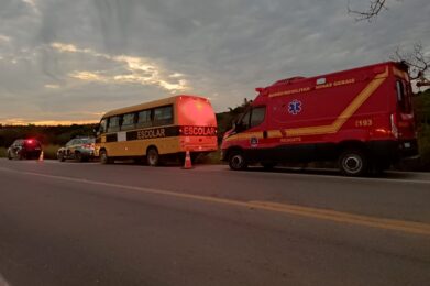 Motorista de ônibus escolar morre em acidente na BR-262, em Nova Serrana - Foto: Divulgação/Corpo de Bombeiros