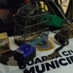 Guardas resgatam aves silvestres capturadas durante incêndio na Serra do Curral - Foto: Divulgação/Guarda Municipal