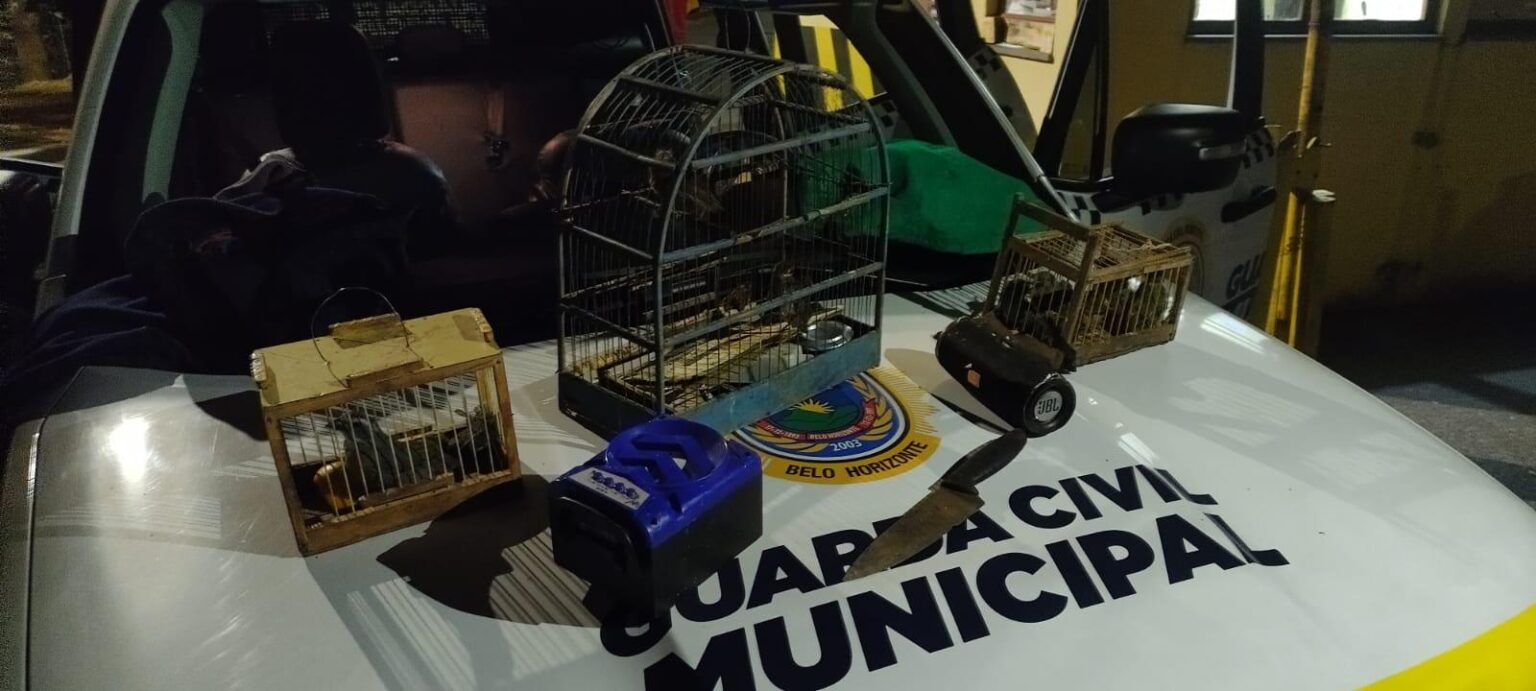 Guardas resgatam aves silvestres capturadas durante incêndio na Serra do Curral Guardas resgatam aves silvestres capturadas durante incêndio na Serra do Curral - Foto: Divulgação/Guarda Municipal