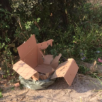 Recém-nascida com o cordão umbilical é encontrada dentro de caixa de papelão em Ipatinga - Foto: Reprodução/Redes Sociais