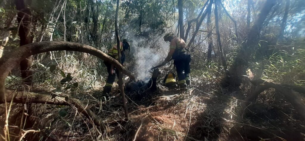 Incêndio destrói vegetação da Serra do Curral no terceiro dia consecutivo - Foto: Divulgação/CBMMG