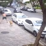 Homem agride faxineira que lavava calçada no bairro Lourdes, em BH - Foto: Reprodução