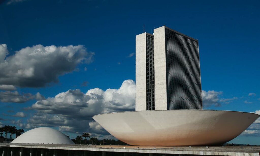 Saiba quem são os deputados federais eleitos em Minas Gerais para a Câmara - Foto: Marcello Casal/Agência Brasil