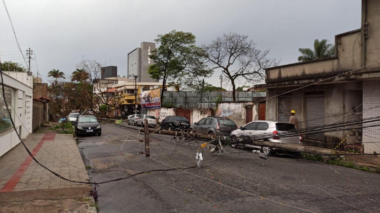 Queda de árvore na Rua Xingu em Betim - Foto: Divulgação/CBMMG