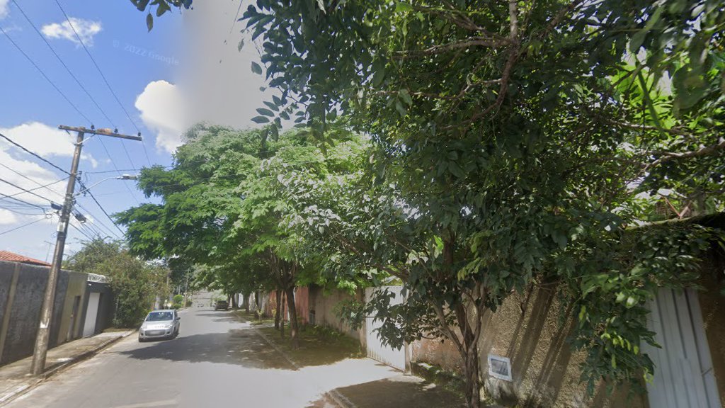 Rua Maria Regina de Jesus onde ocorreu a queda da árvore - Foto: Reprodução/Google Street View