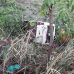 Duas pessoas morrem após micro-ônibus com pacientes de Serro capota na MGC-259, em Gouveia - Foto: Divulgação/Polícia Militar Rodoviária