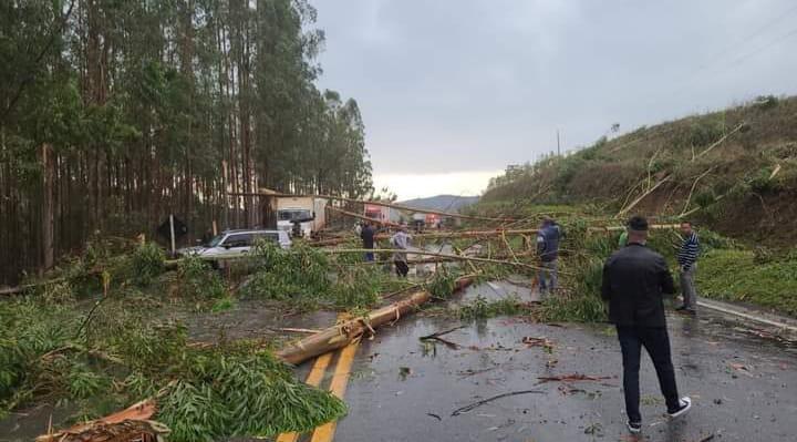 Queda de árvores atinge vários veículos e bloqueia pistas da BR-040, em Alfredo Vasconcelos - Foto: Divulgação