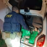 PRF prende três pessoas com 150 kg de drogas na BR-262, em Pará de Minas - Foto: Divulgação/PRF