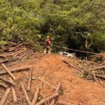 Motorista morre após carreta de eucalipto cair em ribanceira na MGC-451, em Diamantina - Foto: Divulgação/CBMMG