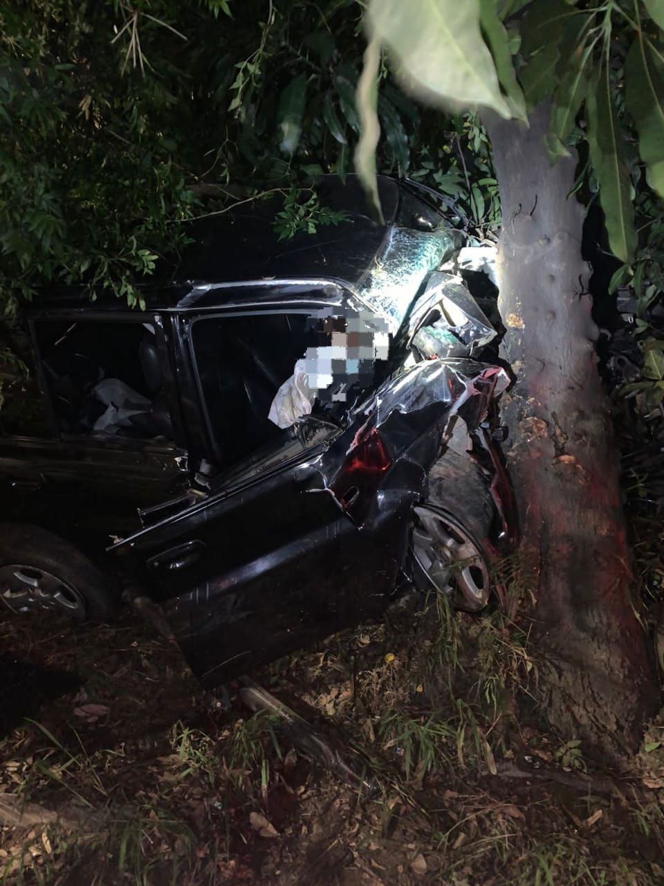 Jovem morre após carro bater em árvore no Anel Rodoviário, em BH - Foto: Divulgação/CBMMG