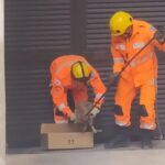 Raposa pega carona em carro e vai parar no Lourdes, em BH - Foto: Divulgação/CBMMG