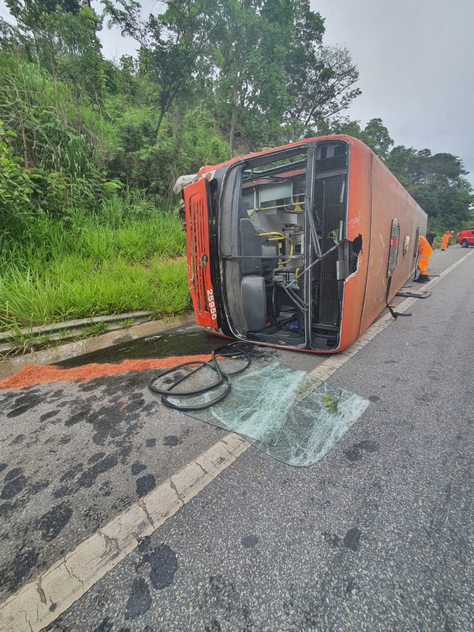 Ônibus bate em poste, tomba e deixa feridos na MG-010, em Vespasiano - Foto: Divulgação/CBMMG