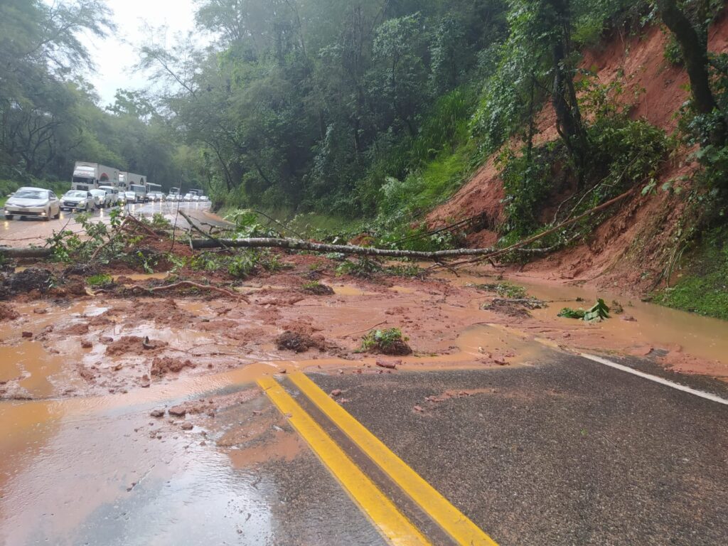 Fortes chuvas provocam deslizamento de barreira e queda de árvore na BR-040, em Juiz de Fora - Foto: Divulgação