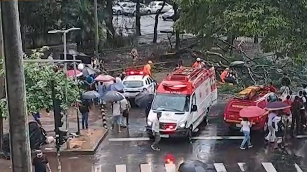 Queda de árvore deixa homem ferido na Praça Rio Branco, no Centro de BH - Foto: Reprodução