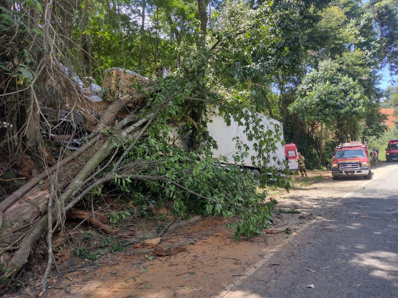 Motorista fica ferido após bater caminhão em árvore na BR-262, em Manhuaçu - Foto: Divulgação/CBMMG