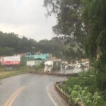 Queda de árvore bloqueia totalmente trecho da BR-040, em Ressaquinha - Foto: Reprodução/Redes Sociais