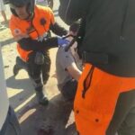 Motociclista fica ferido após atropelar cavalo no bairro Ribeiro de Abreu, em BH - Foto: Divulgação/CBMMG
