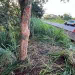 Enfermeira morre em acidente de carro na MGC-497, em Iturama - Foto: Divulgação/PMRv