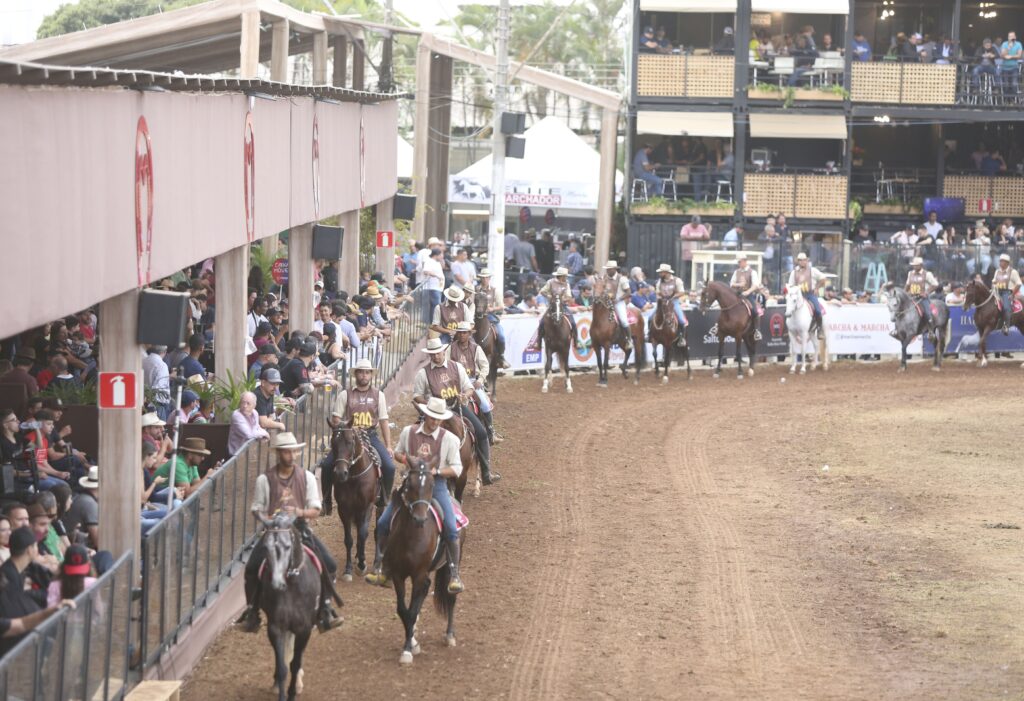 Exposição Nacional do Cavalo Mangalarga Marchador - Foto: Divulgação/Fernando Ulhoa