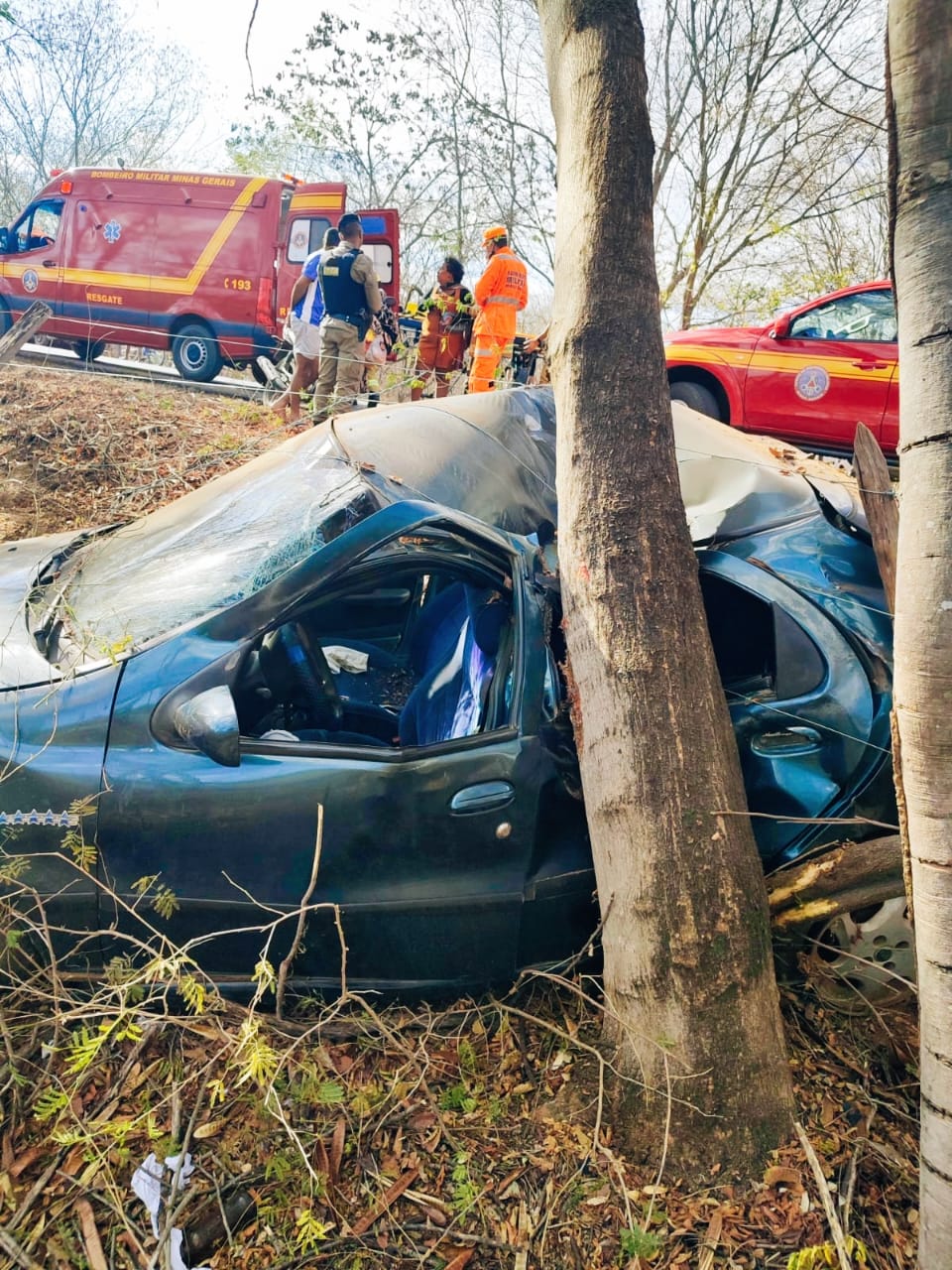 Motorista fica presa às ferragens após bater contra árvore na MGC-135, em Januária - Foto: Divulgação/Corpo de Bombeiros