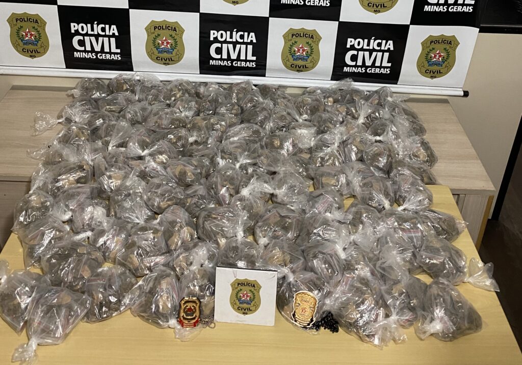 Mais de 1,5 mil porções de maconha são apreendidas no Aglomerado Cabana do Pai Tomás, em BH - Foto: Divulgação/PCMG