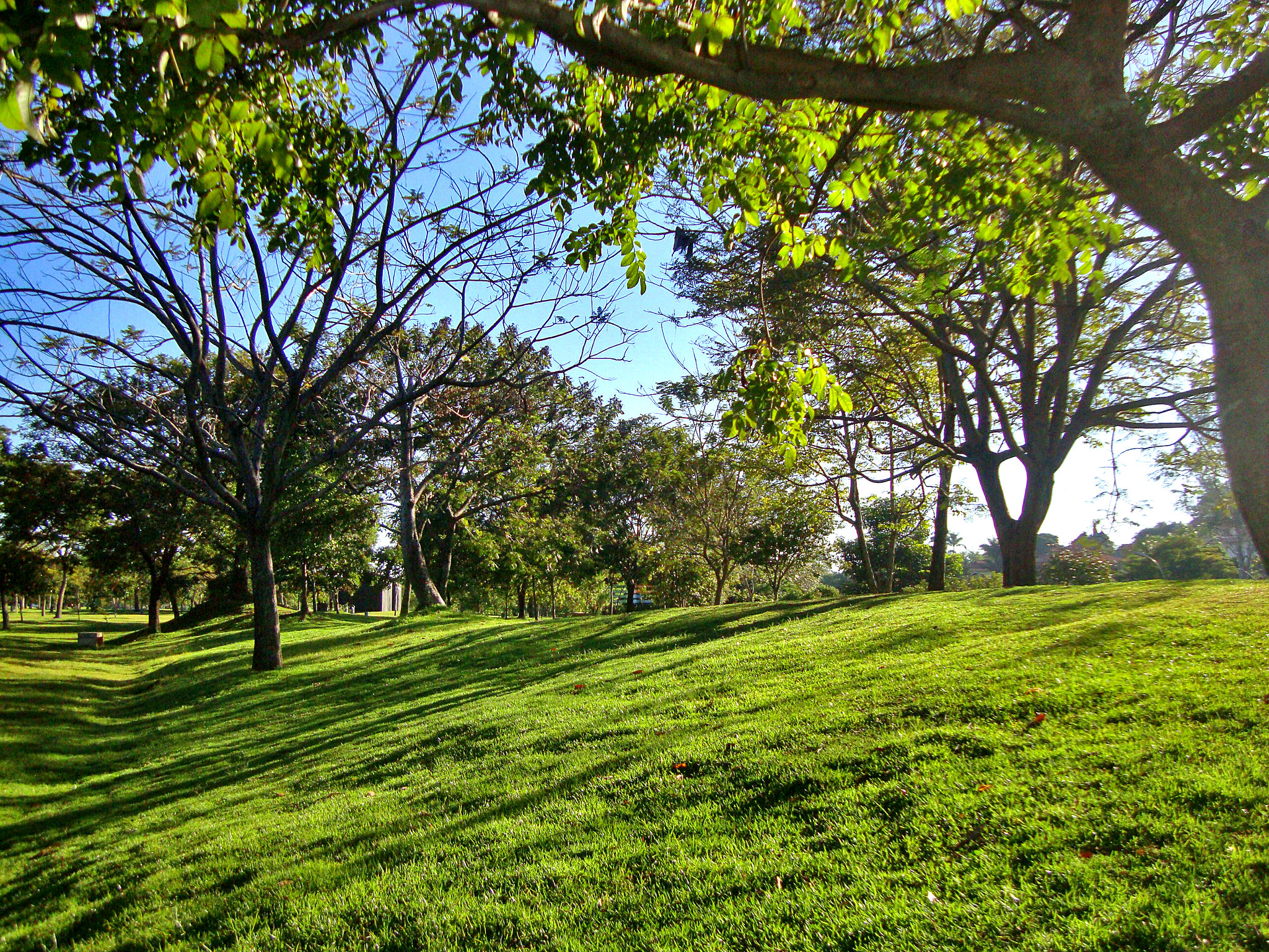 Parque Ecológico da Pampulha - Foto: Divulgação/Suziane Fonseca/PBH