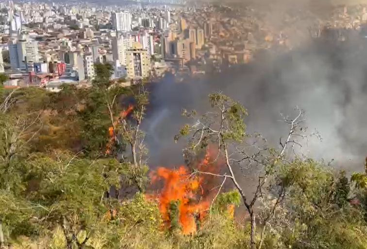 Incêndio atinge Parque Renato Azeredo, no bairro Palmares, em BH - Foto: Divulgação/Corpo de Bombeiros