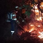 Incêndio atinge mata na Serra do Curral, em BH - Foto: Divulgação/Corpo de Bombeiros