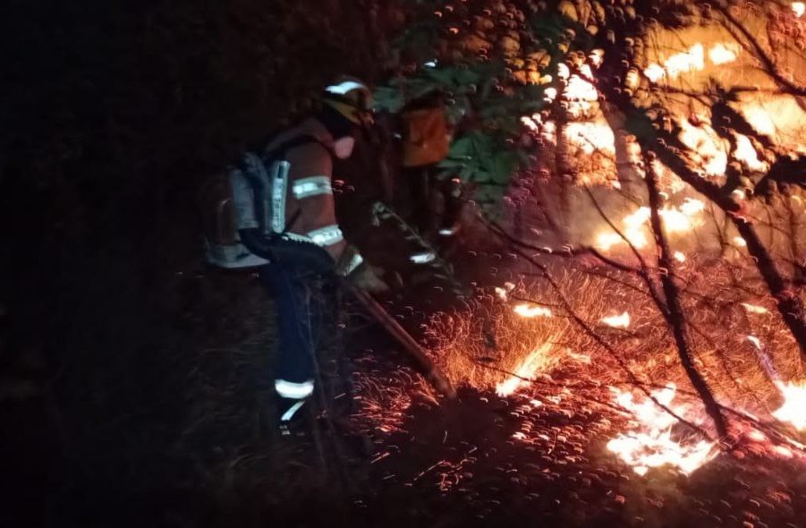 Incêndio atinge mata na Serra do Curral, em BH - Foto: Divulgação/Corpo de Bombeiros