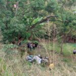 Acidente mata casal de namorados na BR-474, em Aimorés - Foto: Divulgação/PMRv