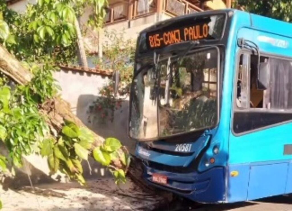 Oito pessoas ficam feridas após ônibus bater em árvore no bairro Nazaré, em BH - Foto: Reprodução/Redes Sociais