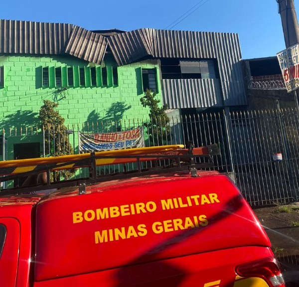 Clínica veterinária pega fogo e animais são resgatados no bairro Santa Cruz, em BH - Foto: Divulgação/Corpo de Bombeiros