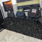 Polícia apreende quase um tonelada de maconha em MG - Foto: Divulgação/PCMG