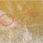 Record TV é condenada a pagar R$ 2 milhões por pintar artes rupestres em sítio arqueológico de Minas - Foto: Divulgação/MPMG