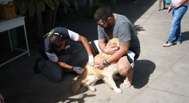 Belo Horizonte realiza vacinação antirrábica animal para cães e gatos neste sábado - Foto: Divulgação/PBH