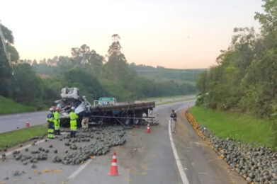 Motorista morre em acidente na Rodovia Fernão Dias, em Santo Antônio do Amparo - Foto: Reprodução/Redes Sociais