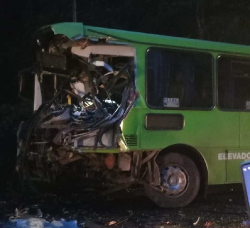 Morre motorista de ônibus de acidente frotal com carreta em Caeté - Foto: Reprodução/Redes Sociais