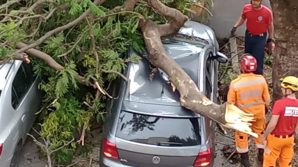 Árvore de grande porte cai e atinge carros em praça de BH - Foto: Divulgação/Corpo de Bombeiros