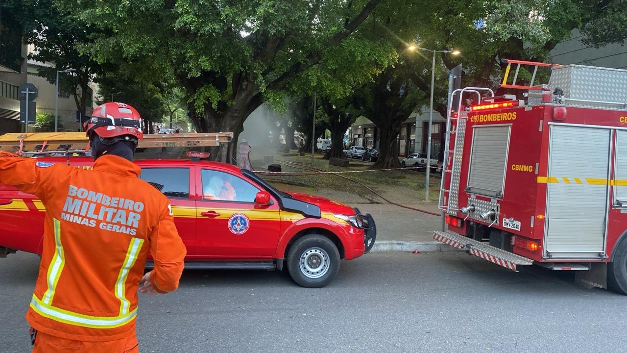 Foliões são atacados por enxame de abelhas em bloco de carnaval em BH - Foto: Divulgação/Corpo de Bombeiros