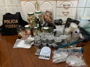 PF deflagra operação contra a venda de cogumelos alucinógenos pela internet - Foto: Divulgação/Polícia Federal