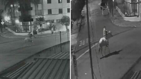 Homem furta televisão e foge em cavalo em BH - Foto: Reprodução/Câmera de segurança