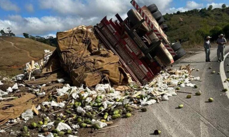 Criança morre presa às ferragens de caminhão após acidente em rodovia de MG - Foto: Reprodução/Redes Sociais