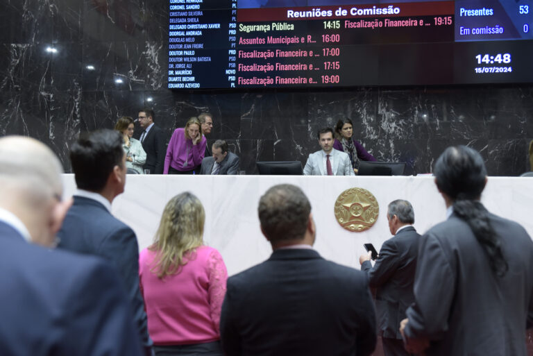 Adesão de Minas Gerais ao RRF é aprovada em 1º turno da ALMG - Foto: Daniel Protzner/ALMG