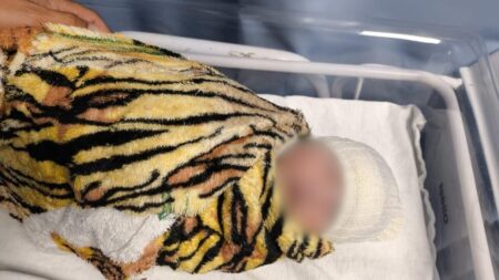 Recém-nascida levada de hospital de Uberlândia é encontrada em Goiás - Foto: Reprodução