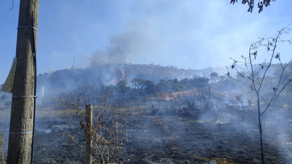 Incêndio atinge unidade de conservação no bairro Serra Verde, em BH - Foto: Divulgação/Corpo de Bombeiros