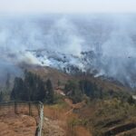 Incêndio atinge mata na Serra do Curral, em BH - Foto: Divulgação/CBMMG