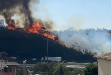 Incêndio em vegetação às margens do Anel Rodoviário, em BH, assusta motoristas - Foto: Reprodução/Redes Sociais