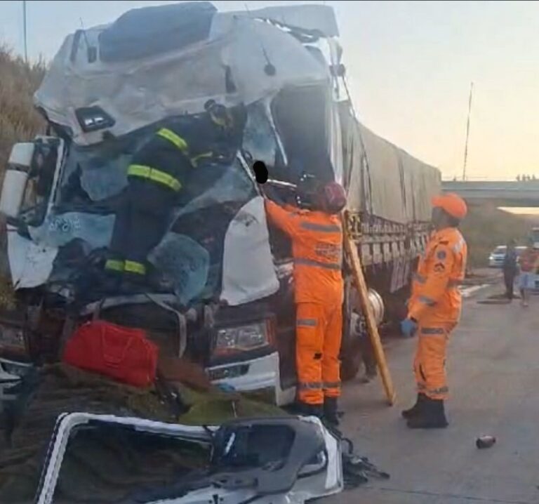 Acidente entre caminhões deixa vítima presa às ferragens na BR-381 - Foto: Reprodução/Redes Sociais