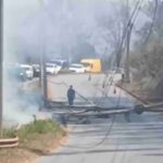Queda de árvore derruba motociclista e poste na MG-030, em Nova Lima - Foto: Reprodução/Redes Sociais